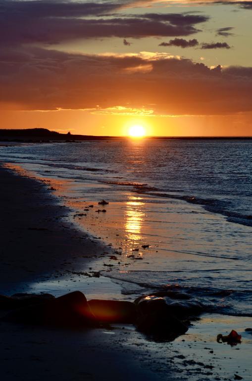 Gite Reve Et Realite Bed And Breakfast # Cap-Chat Eksteriør bilde